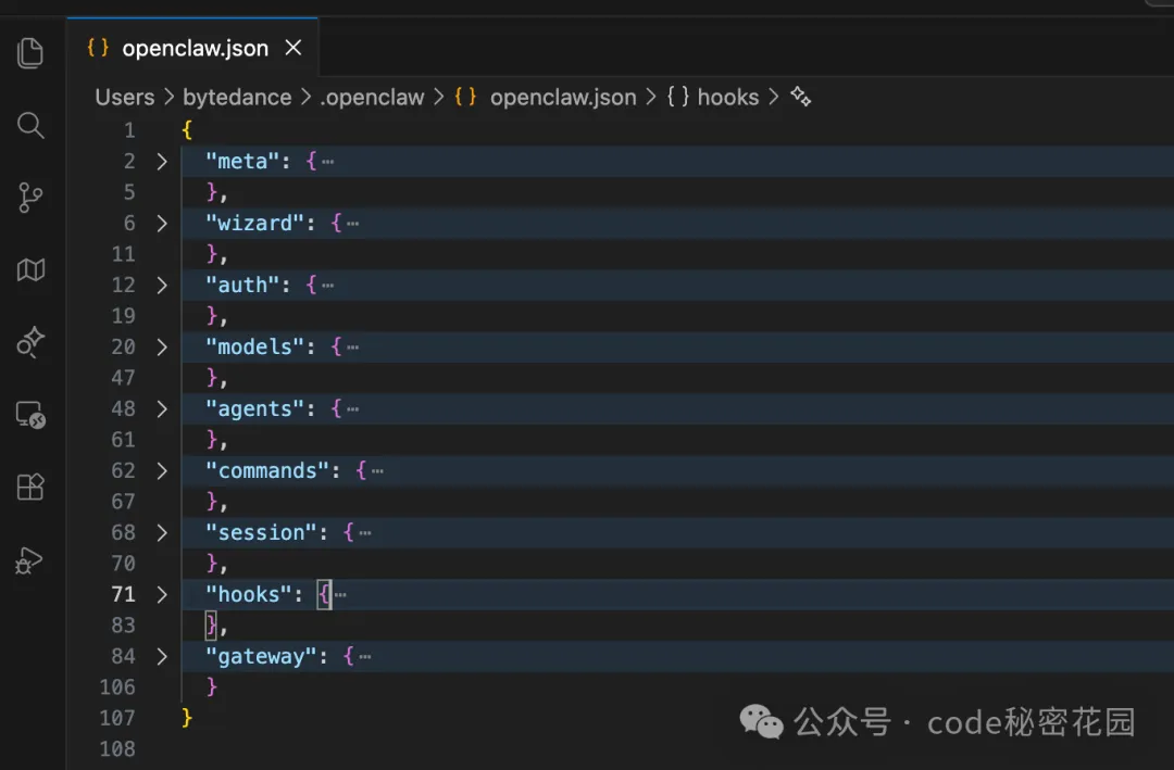 在编辑器中打开 openclaw.json 示例