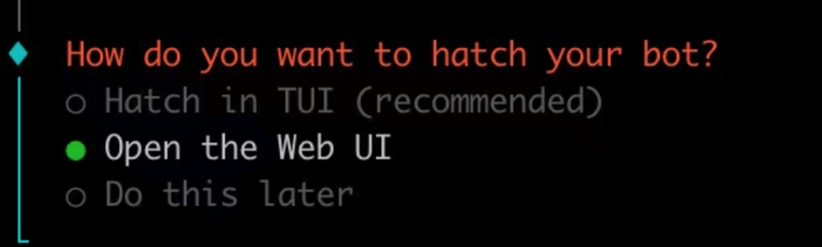 Open the Web UI 选项示例